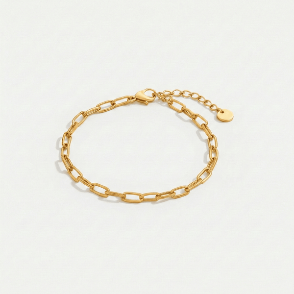 Bracelet Clip