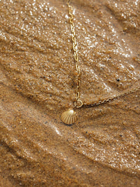 Collier Coquillage