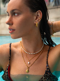 Collier Coquillage
