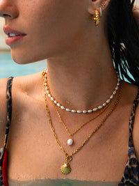 Collier Coquillage