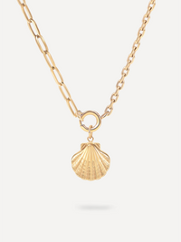 Collier Coquillage