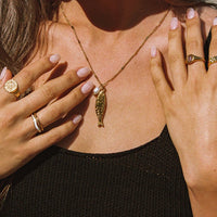 Collier Poisson