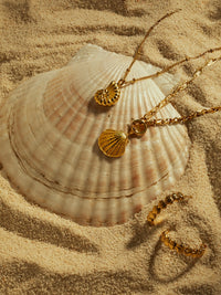 Collier Coquillage