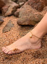 Collier Coquillage